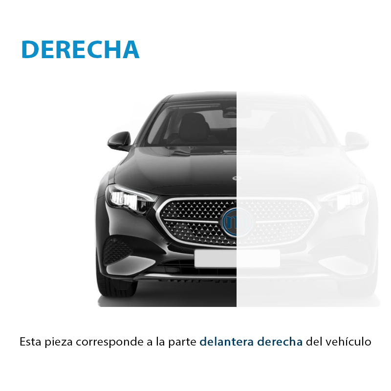 Image #13